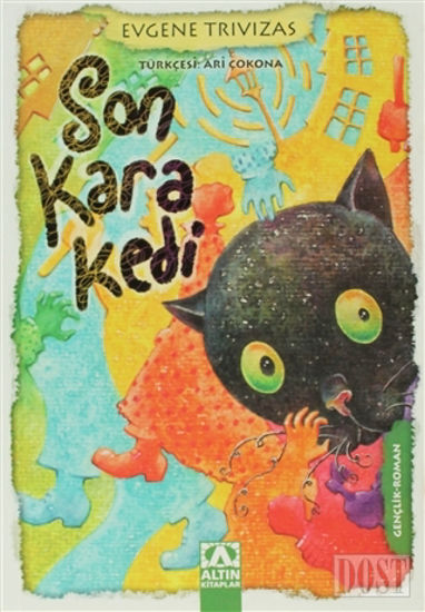 Son Kara Kedi